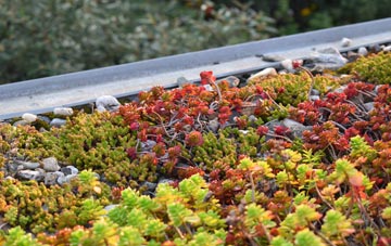 the cost of Middlemarsh green roof installation