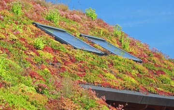 Middlemarsh living roof systems