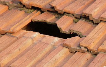 roof repair Middlemarsh, Dorset