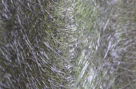 Middlemarsh fibreglass roof work